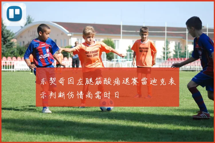 东契奇因左腿筋酸痛退赛雷迪克表示判断伤情尚需时日